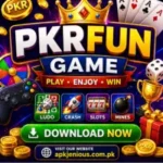 pkrfun-game